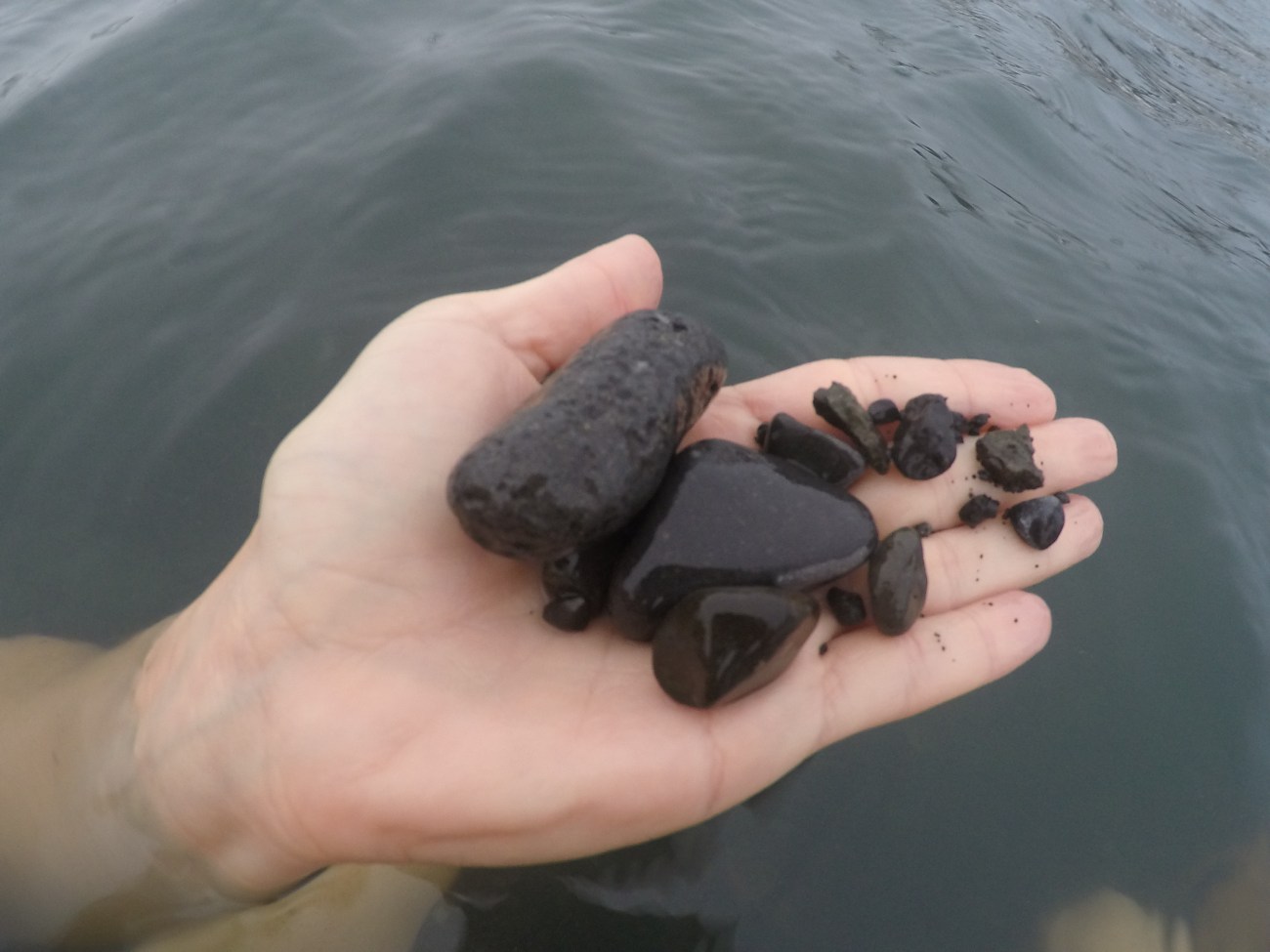 DCIM102GOPROGOPR3036.