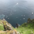 IMG_0569