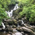 IMG_0733