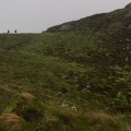 IMG_1333