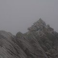 IMG_1335