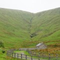 IMG_1763