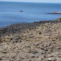 IMG_1858