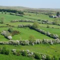 IMG_1906