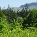 IMG_1920