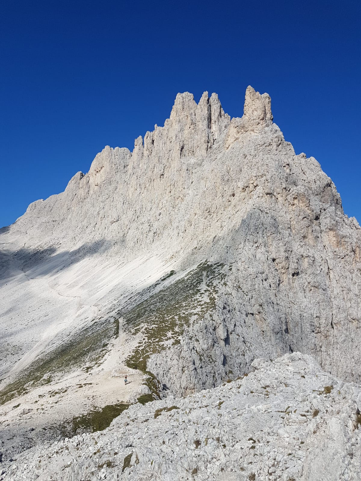 8fad363d-5bc3-4a9a-af37-7c79aedd6ff1