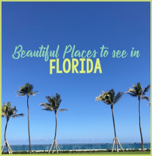 floridablog