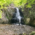 IMG_1844