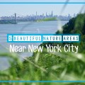 nyccover
