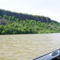 ORG_DSC00176