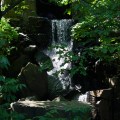 ORG_DSC00316