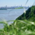 ORG_DSC00322