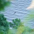 ORG_DSC00444