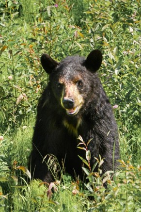 LRG_DSC02755_Original